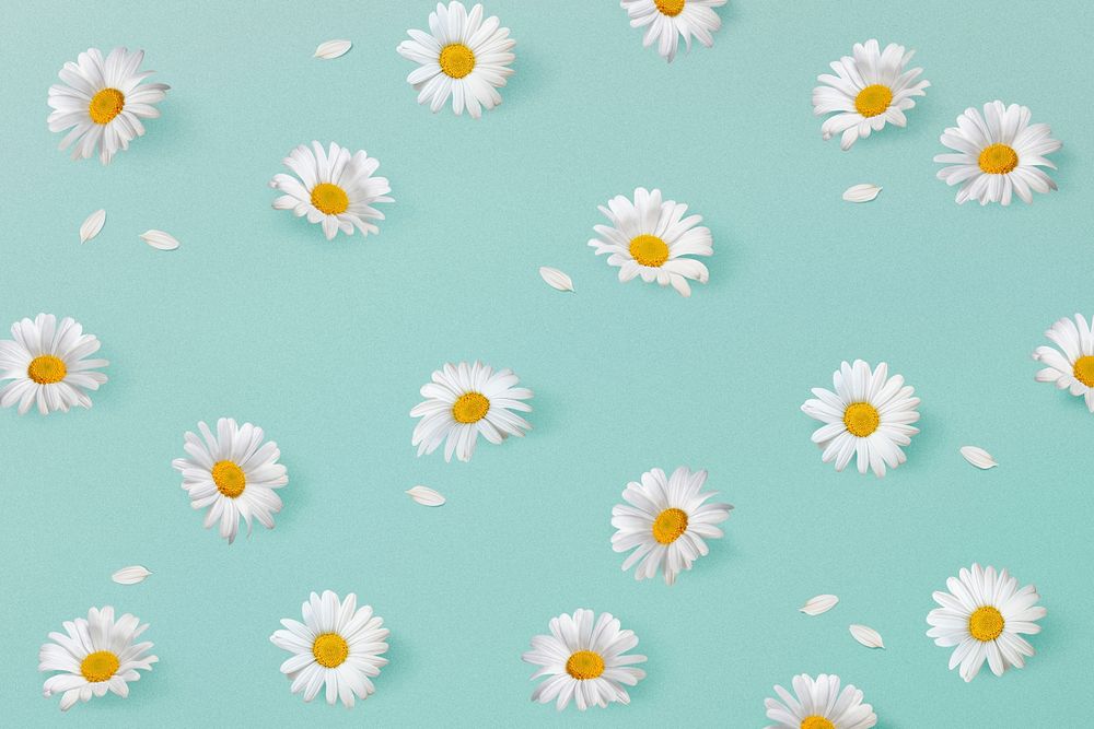 White flowers background, nature design | Free Photo - rawpixel