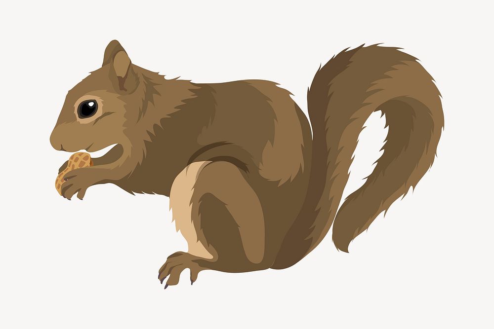 Chipmunk eating a nut, rodent animal illustration clipart