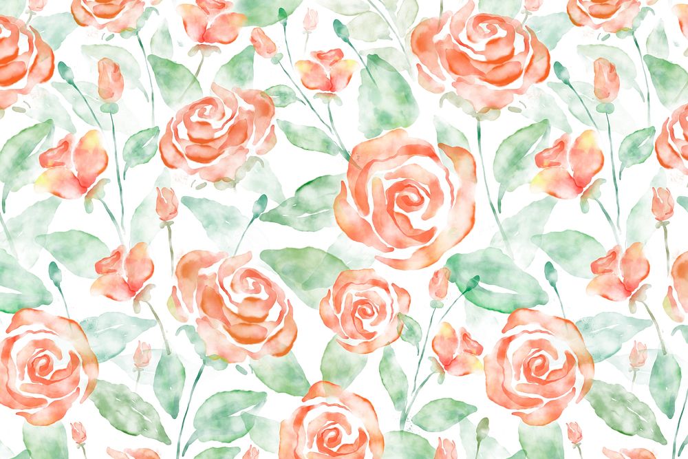 Rose flower background, watercolor graphic