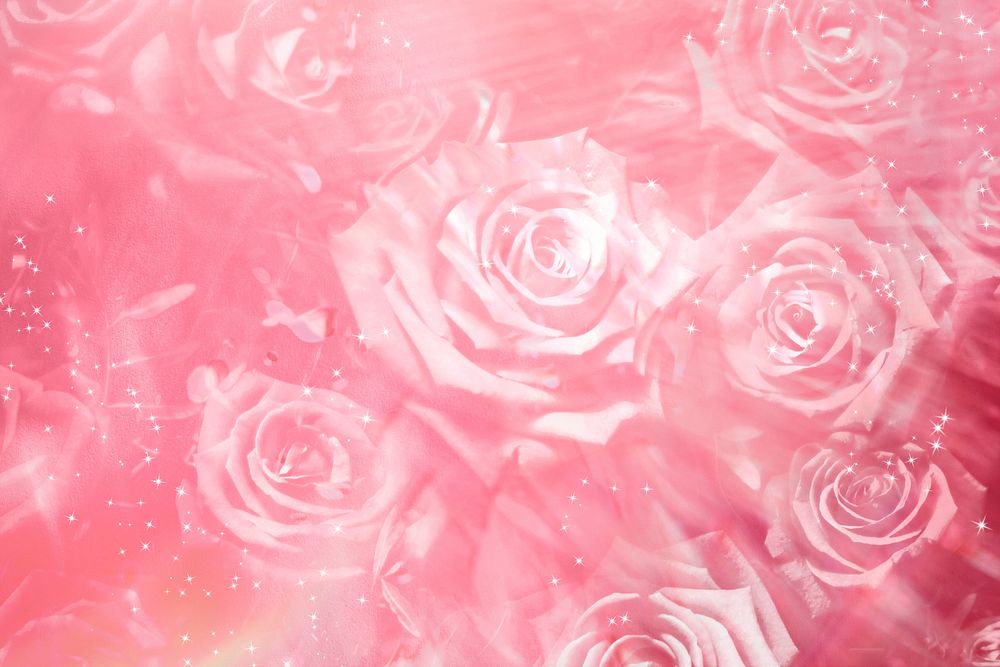 Pink roses background, floral design 
