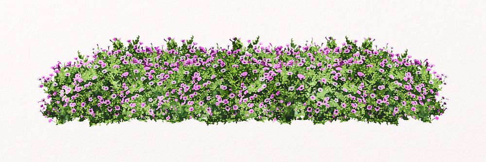 Flower bush collage element, morning glory, garden design psd