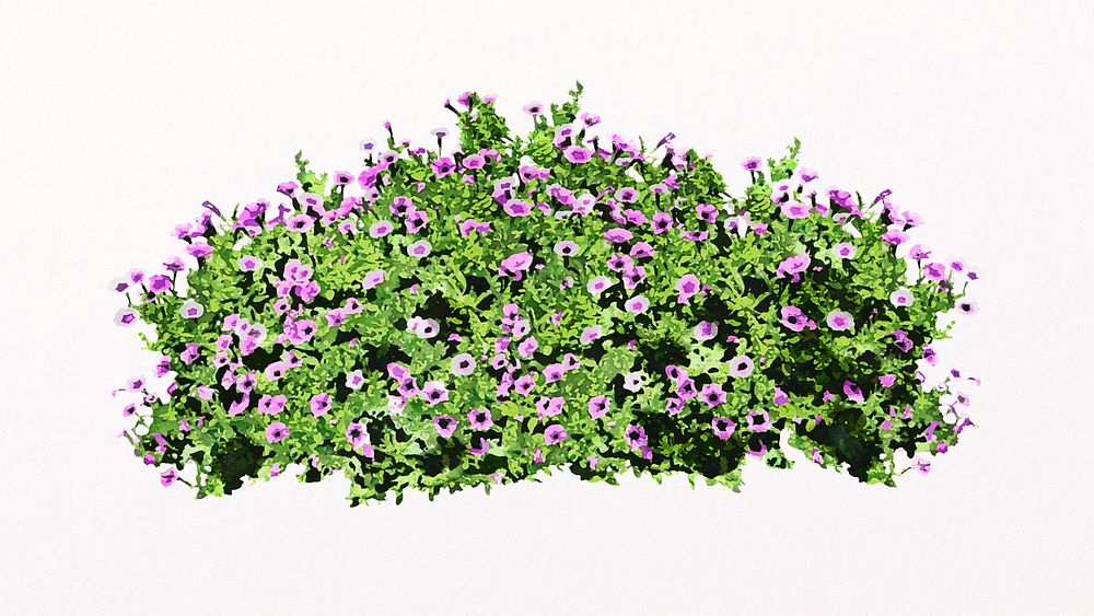 Flower bush isolated on white, nature design