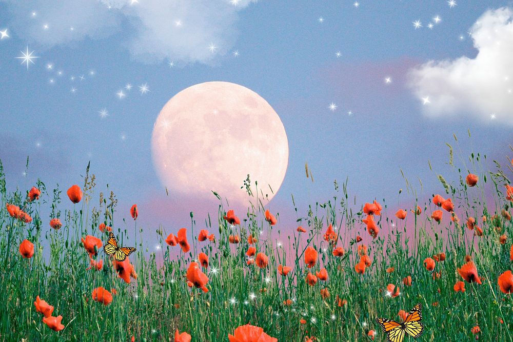 Red flower field background, moon bling pastel sky design psd
