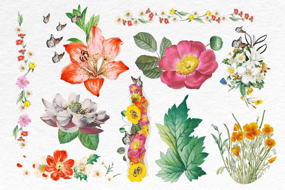 Flower collage element set, botanical design psd