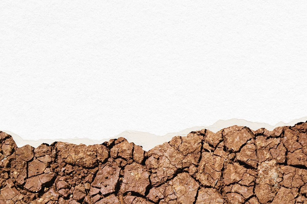 Cracked soil ripped paper border, nature background psd