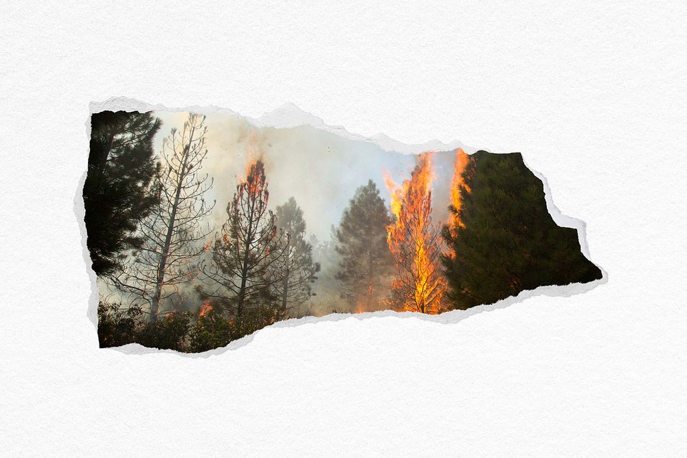 Forest fire ripped paper collage element psd