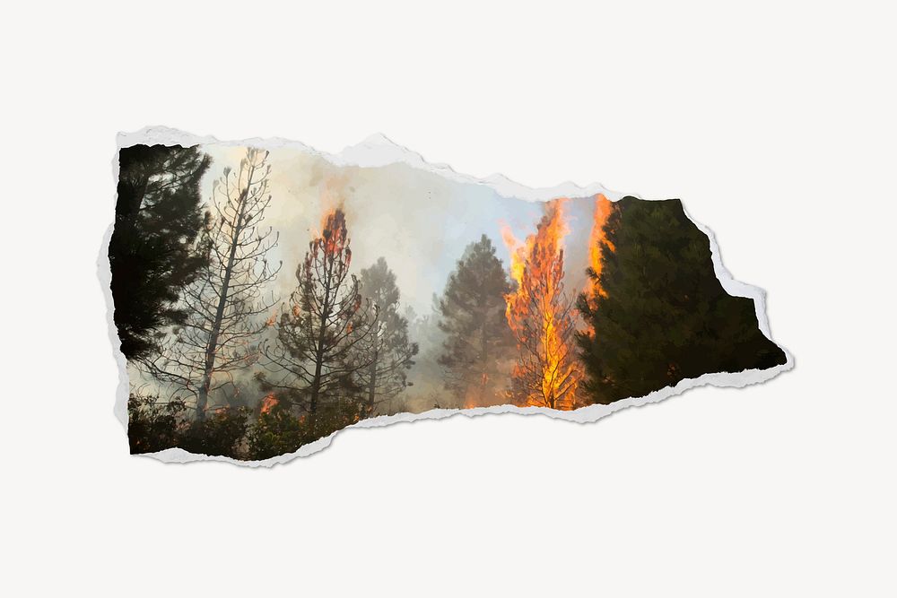 Forest fire ripped paper collage element vector