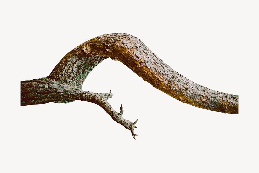 Minimal wooden branch background vector