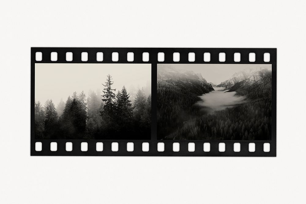 Analog film strip with nature images