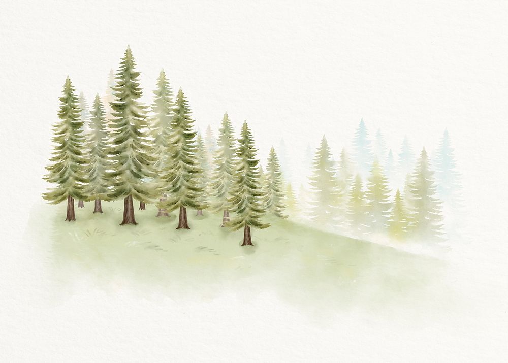 Watercolor forest background, pine trees on hill illustration