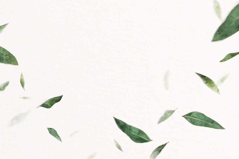 Watercolor green leaves, floating border clipart psd