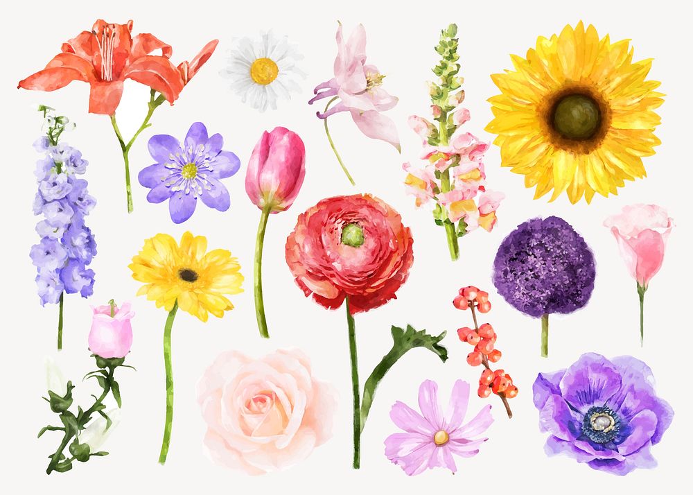 Watercolor floral collage element vector set 