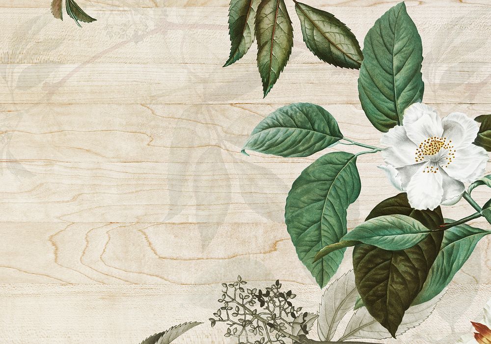 Vintage botanical frame design illustration