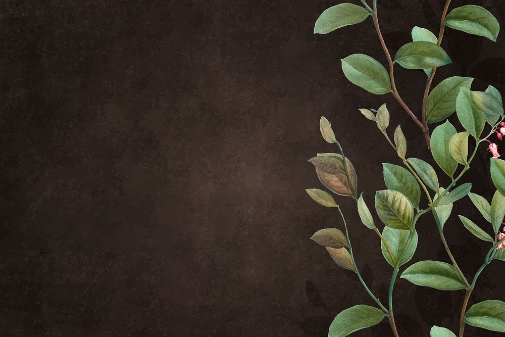 Brown wall with floral background vector