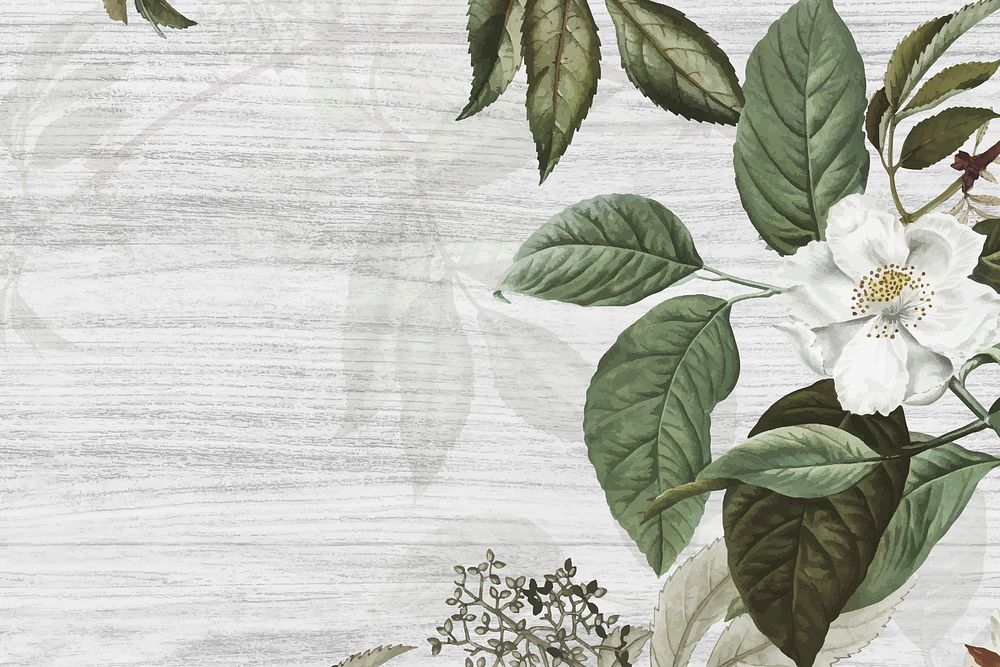 Gray wooden background with musk rose vector