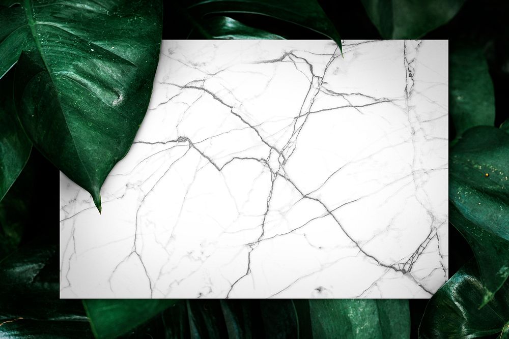 Marble slate on a leafy background