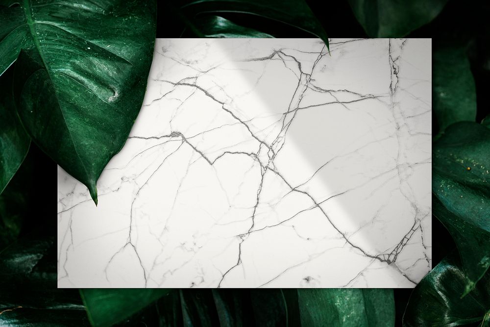 Marble slate on a leafy background