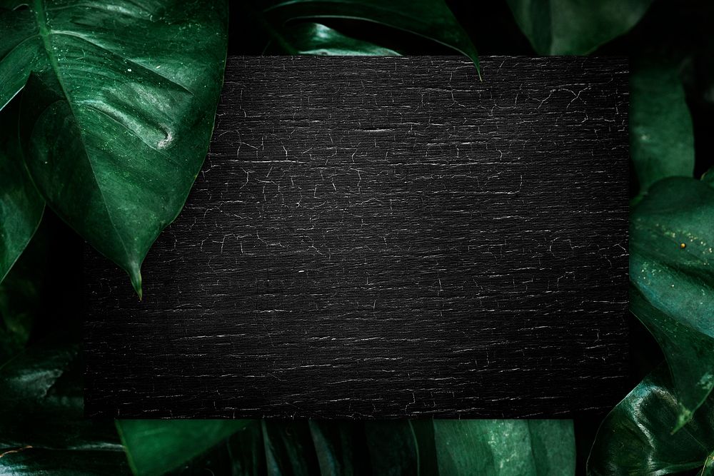 Black wooden board on a tropical background