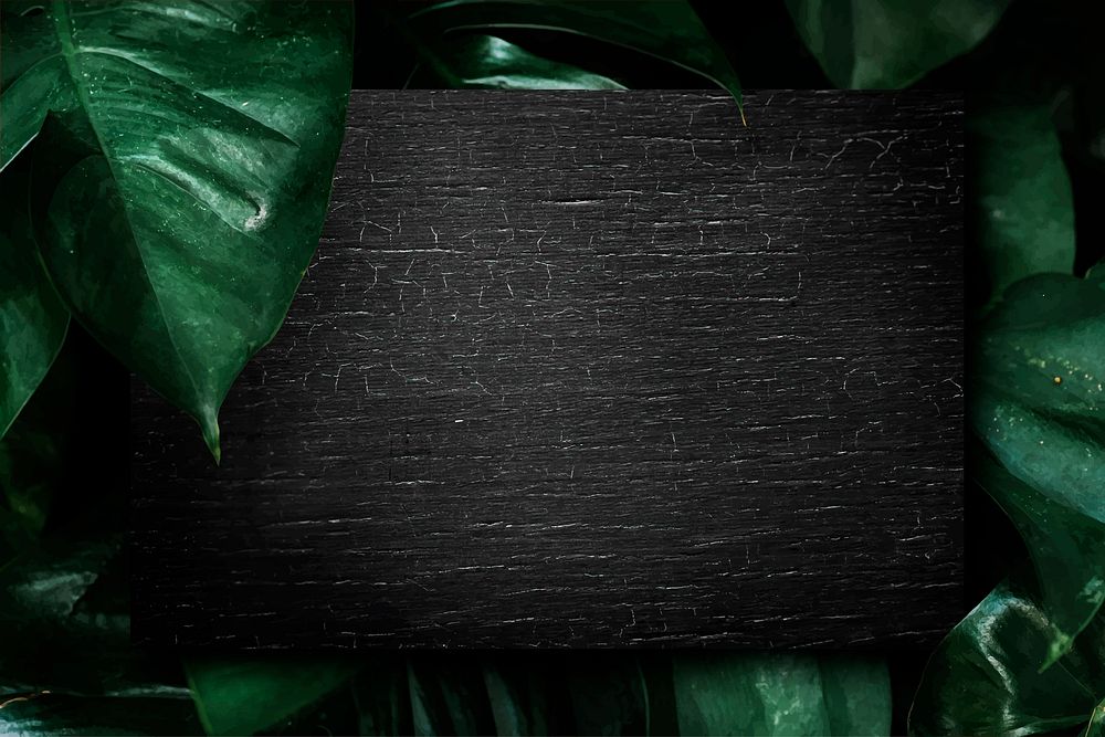 Black wooden board on a tropical background vector