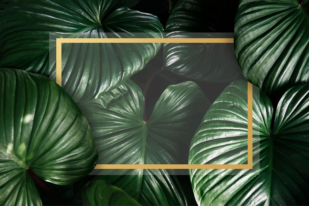 Golden frame on a tropical background vector