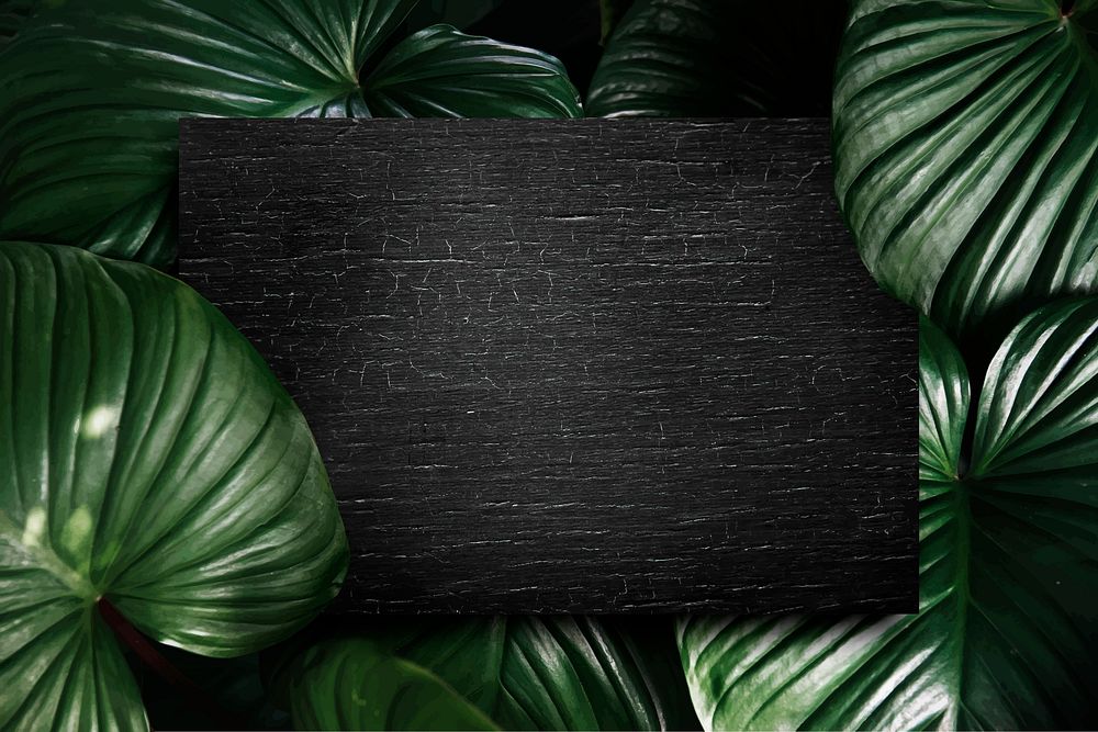 Black wooden board on a tropical background vector