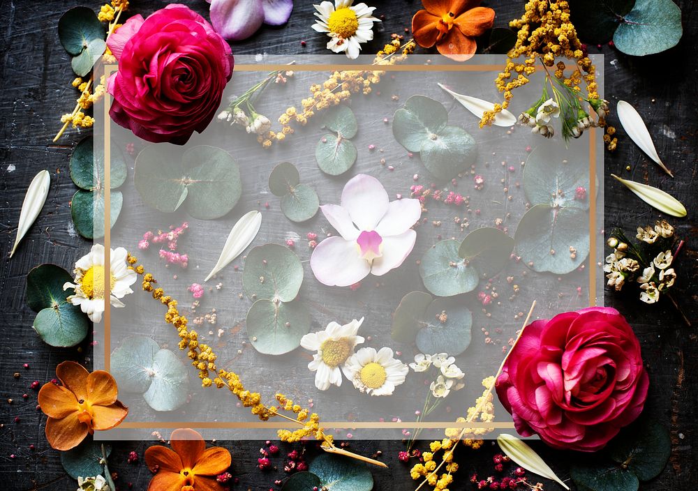 Transparent frame on a floral background