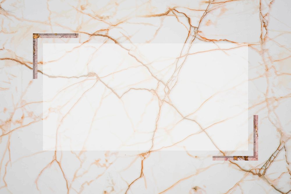 Rectangle frame on white marble textured background vector