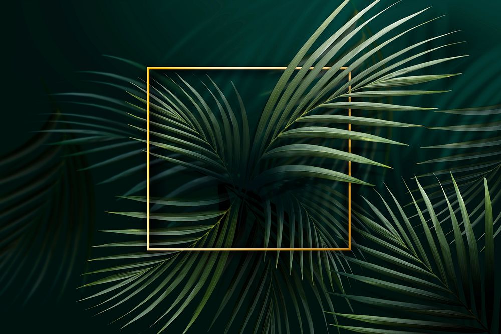Square golden frame on a tropical background