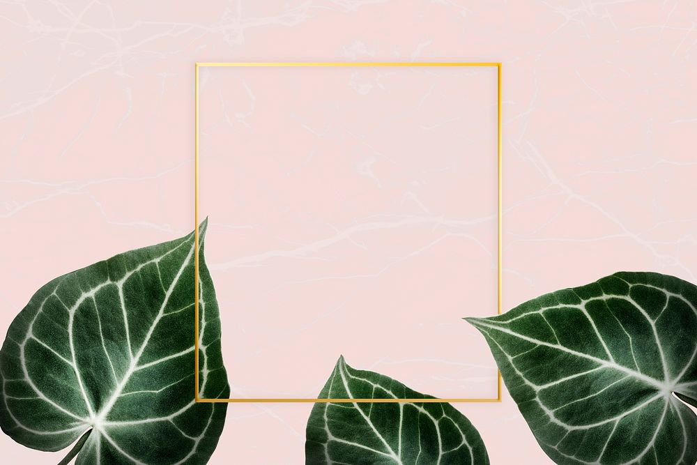 Square golden nature frame on a pink background