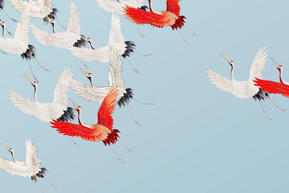 Flock of cranes background vector