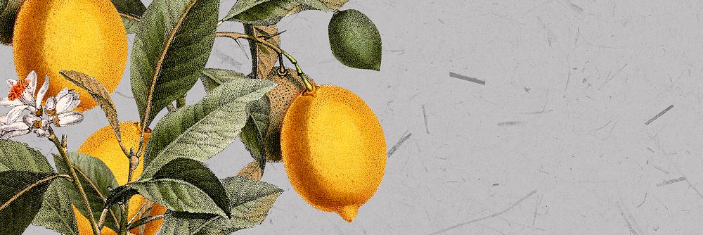 Tropical lemon on a gray background vector