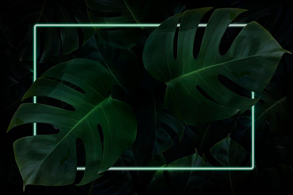 Rectangle green neon frame on tropical leaf background vector