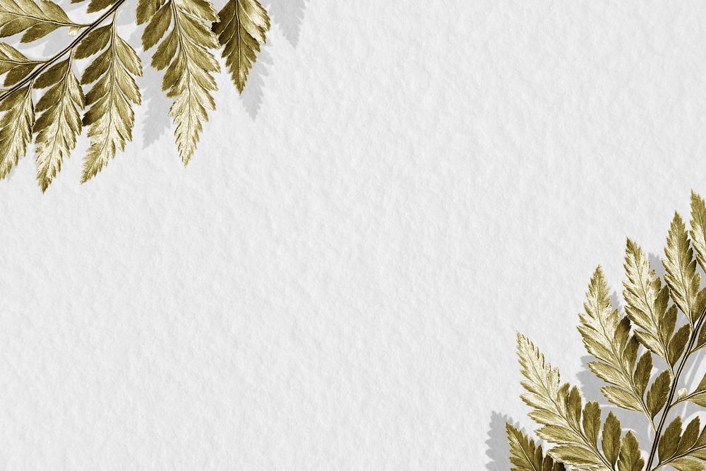 Gold leatherleaf fern frame on white background illustration