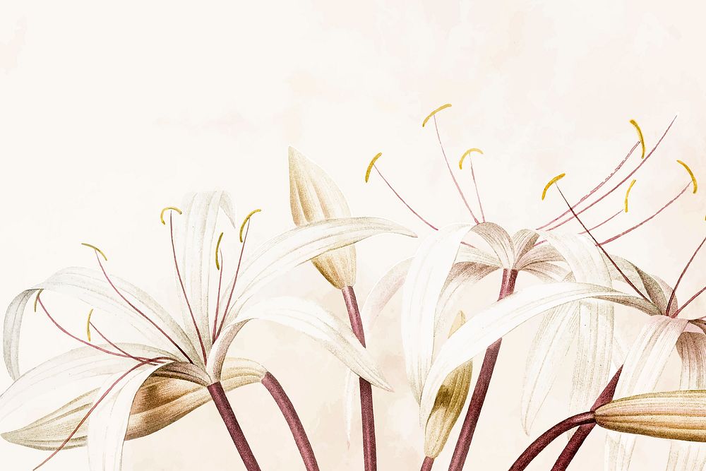 Hand drawn white spider lily pattern background vector