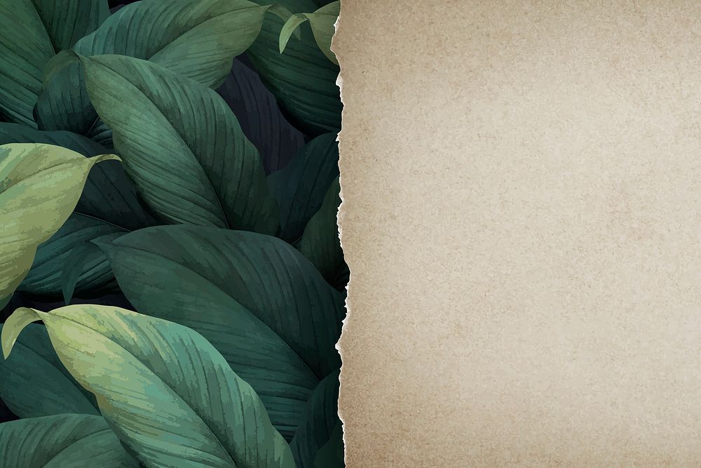 Torn brown paper on tropical leaf background vector