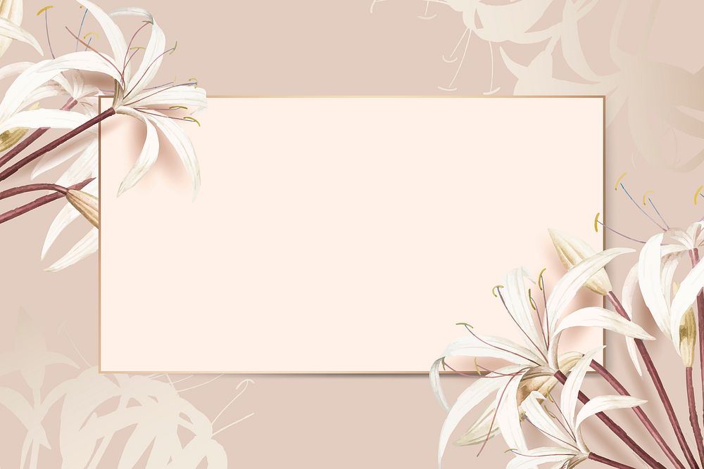 Rectangle frame on white spider lily pattern background vector