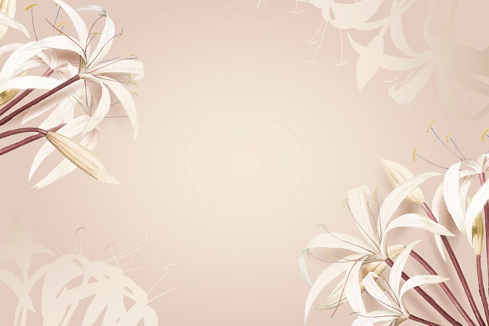 White spider lily pattern background vector