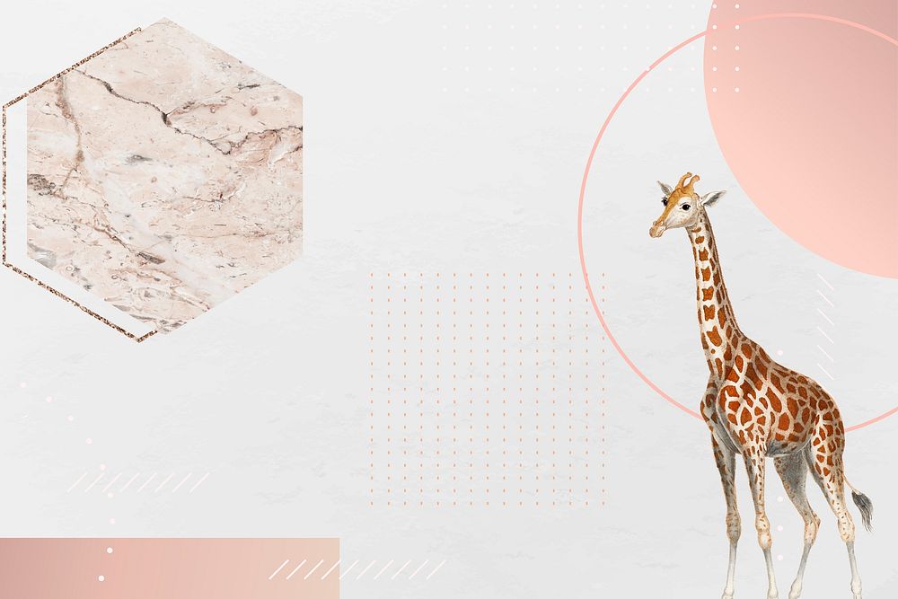 Blank giraffe frame design vector