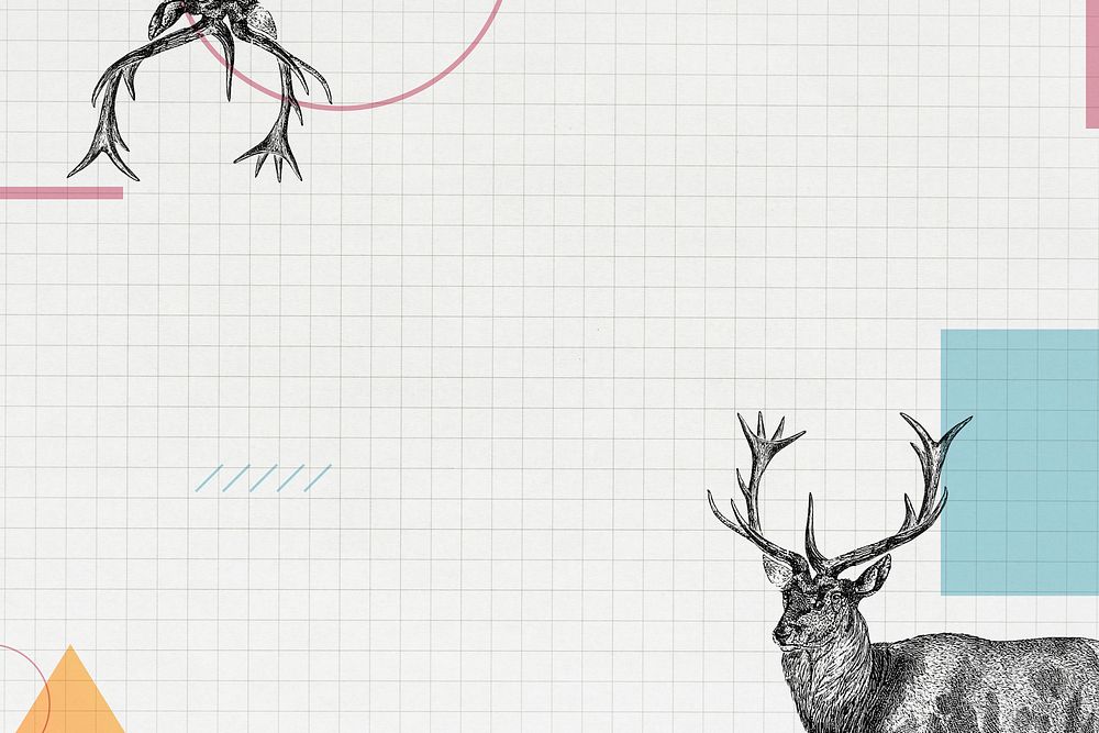 Blank geometric deer frame design