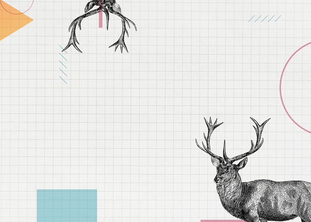 Blank geometric deer frame design