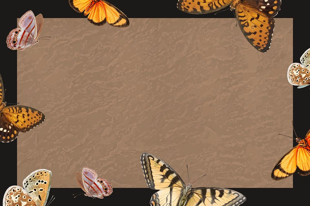 Butterfly patterned on brown background vector