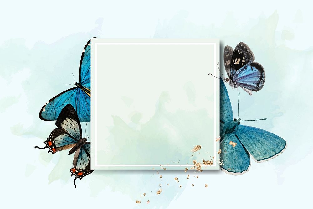 Square frame with blue butterflies patterned background vector