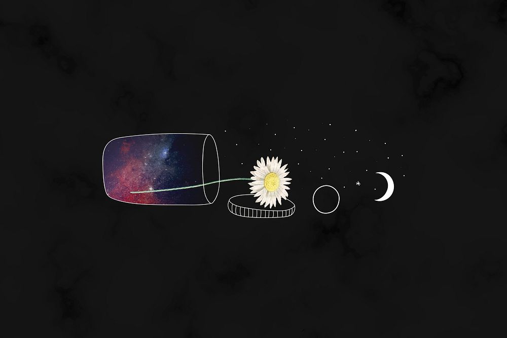 Daisy in a container on a black background vector