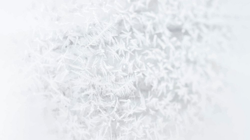 Frosty white tree branches background vector