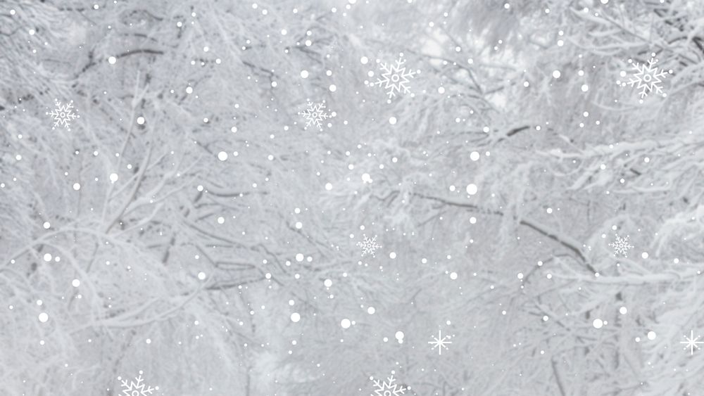 White snowy pine branch background