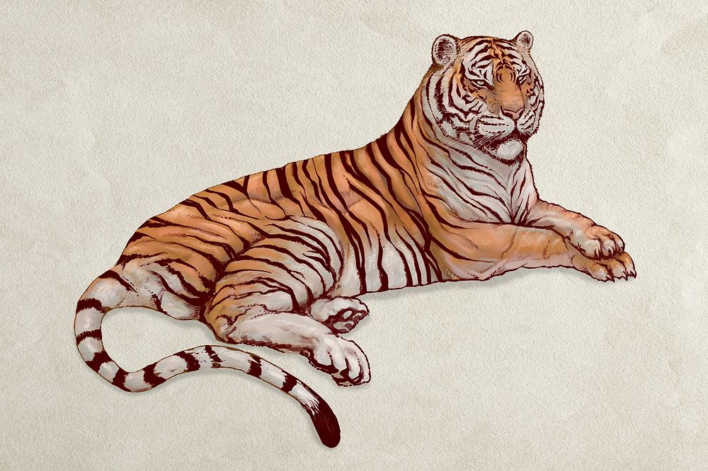Hand drawn lying tiger illustration