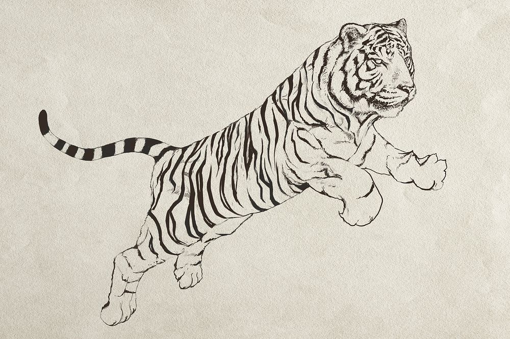 Hand drawn jumping tiger illustration