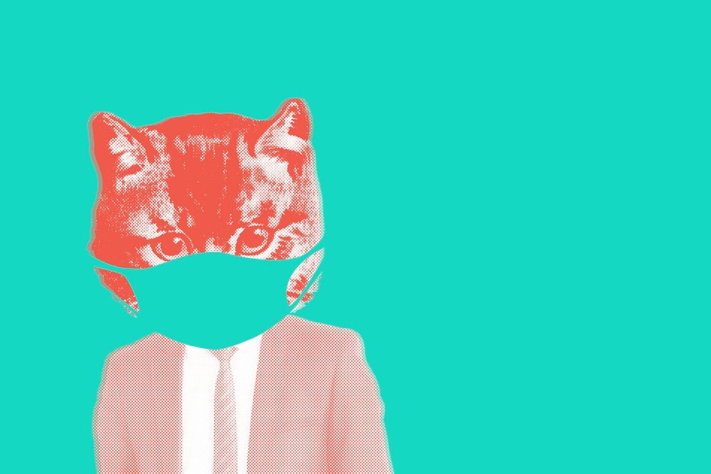 Cat wearing a face mask during coronavirus pandemic illustration