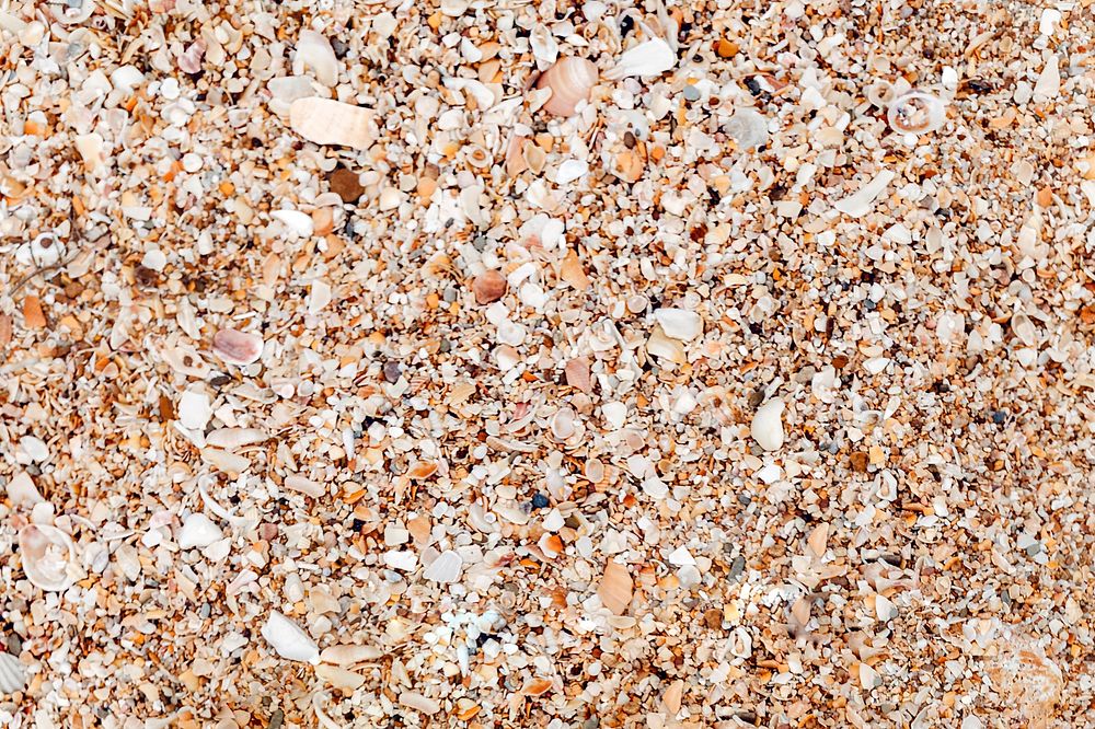 Tiny seashells and stones textured background