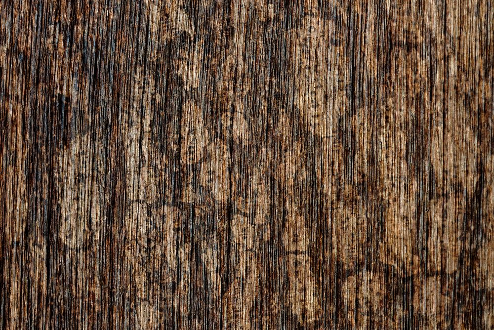Brown wooden floor textured backdrop